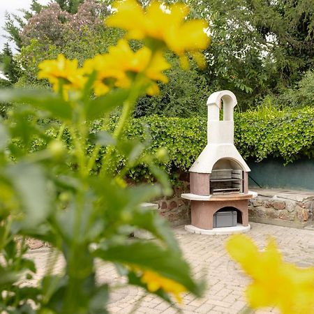 Ferienhaus Am Bergeshang Blankenburg  Ngoại thất bức ảnh